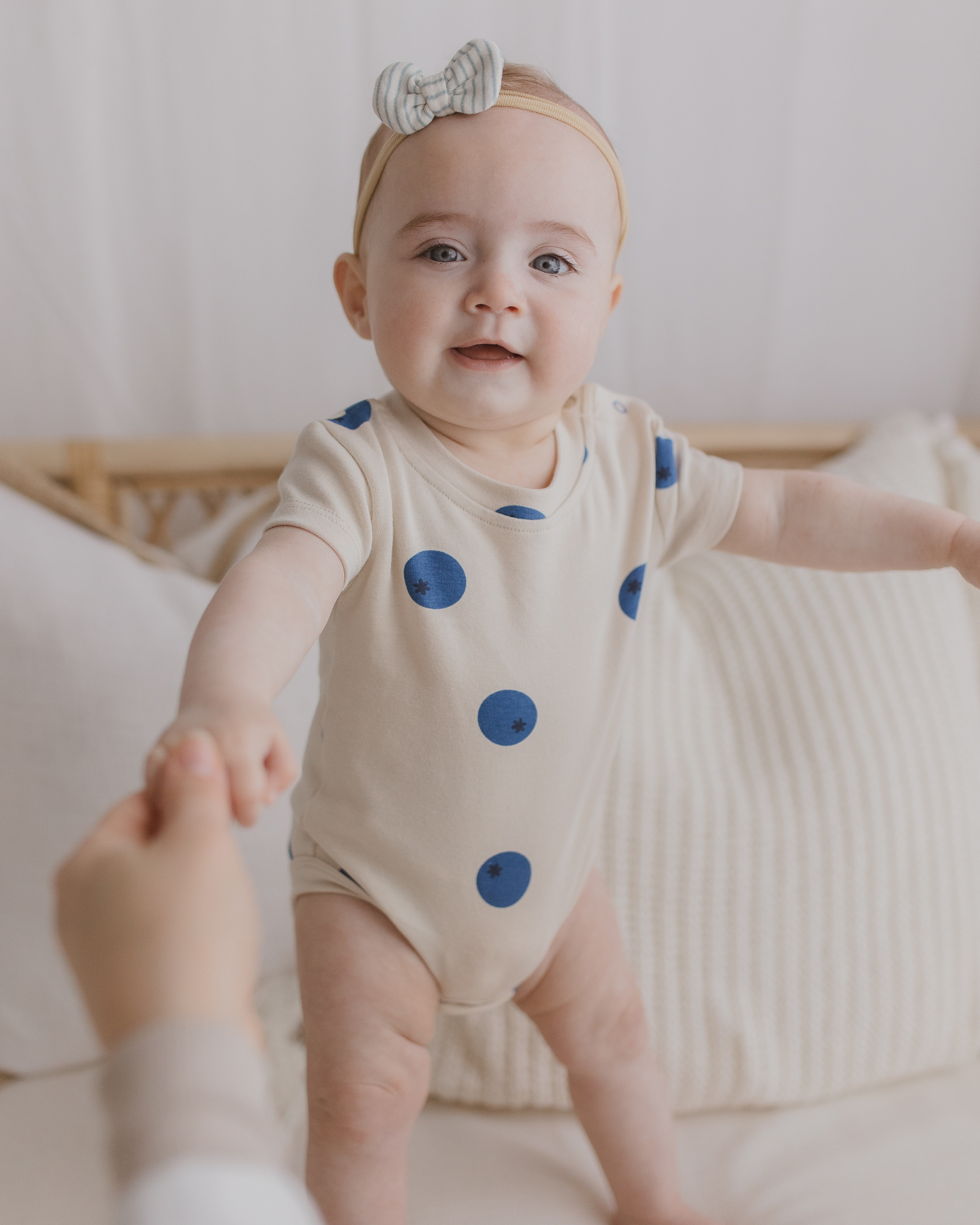 Classic Suit. Blueberries