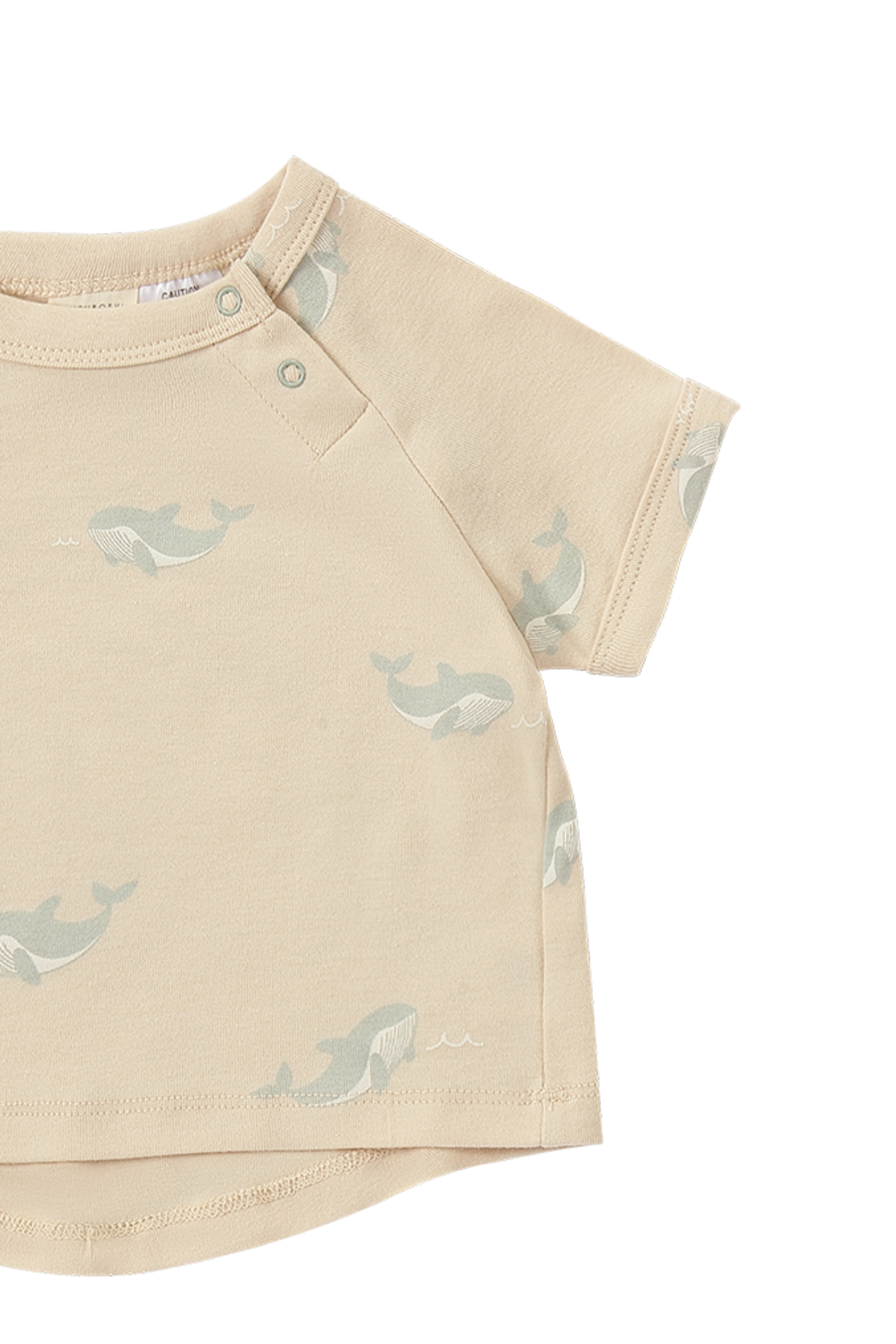 Boxy Tee x Summer Pant Set. Whale